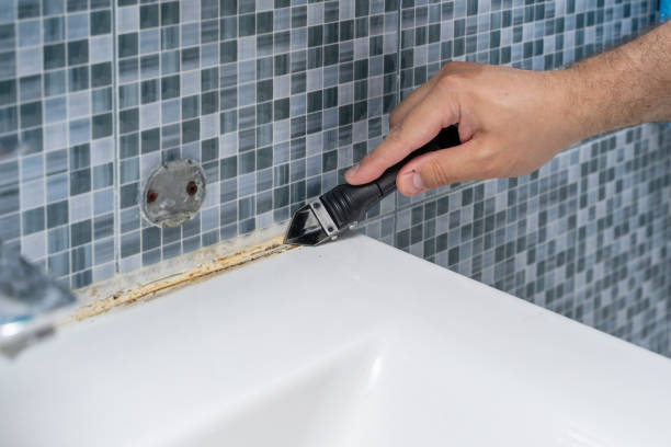 Best Certified Mold Removal  in Sharpsburg, PA