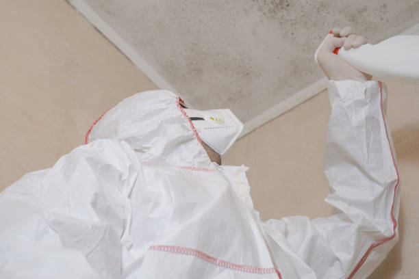 Best Mold Testing  in Sharpsburg, PA