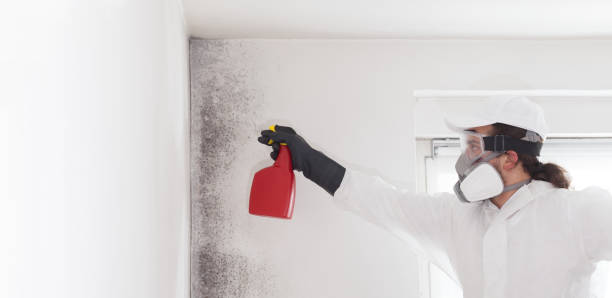 Best Mold Removal Near Me  in Sharpsburg, PA
