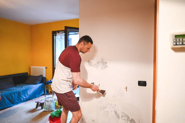 Best Home Mold Removal  in Sharpsburg, PA